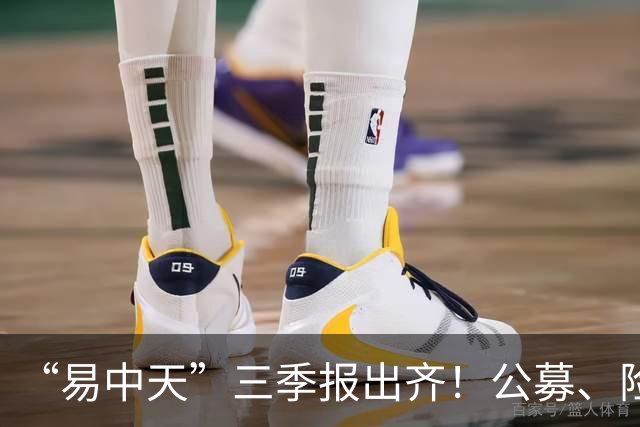 “易中天”三季报出齐！公募、险资加仓
