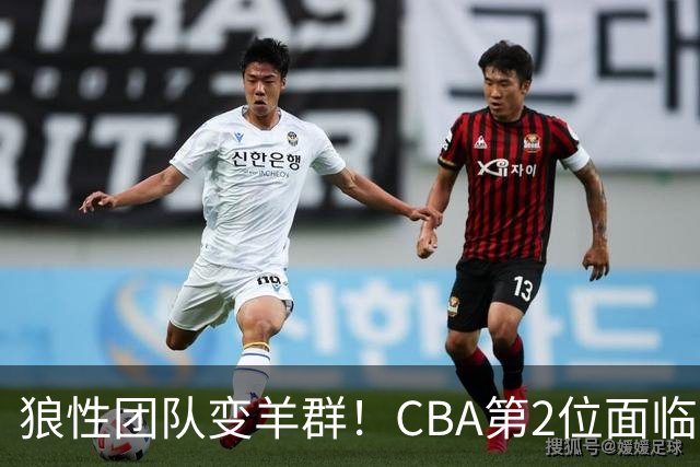 狼性团队变羊群！CBA第2位面临下课主帅曝光，发布会怒喷70%球员不在线，却说自己问心无愧！评论区一边倒